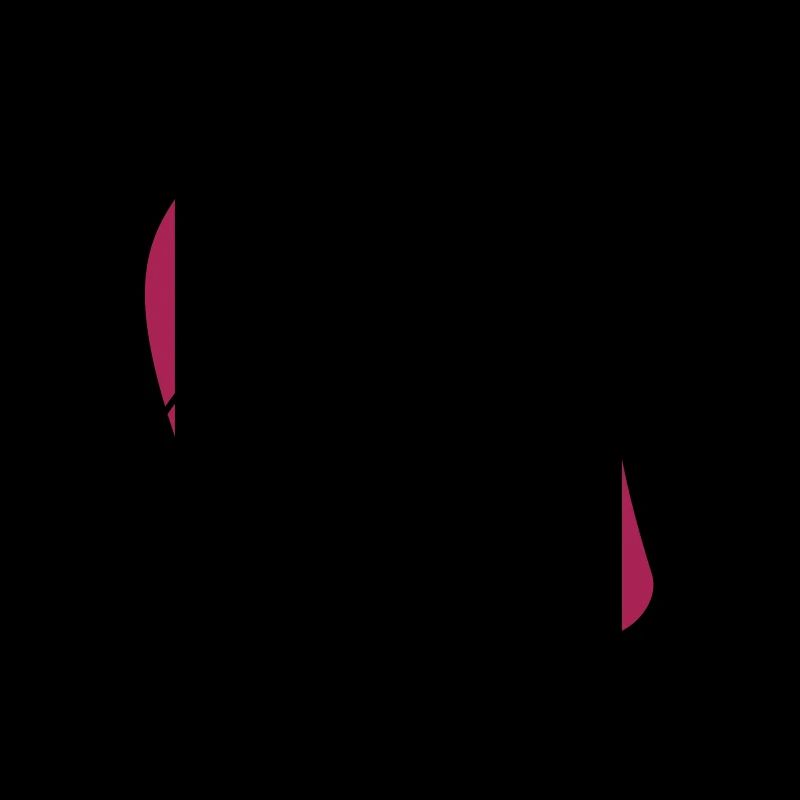 flipflops