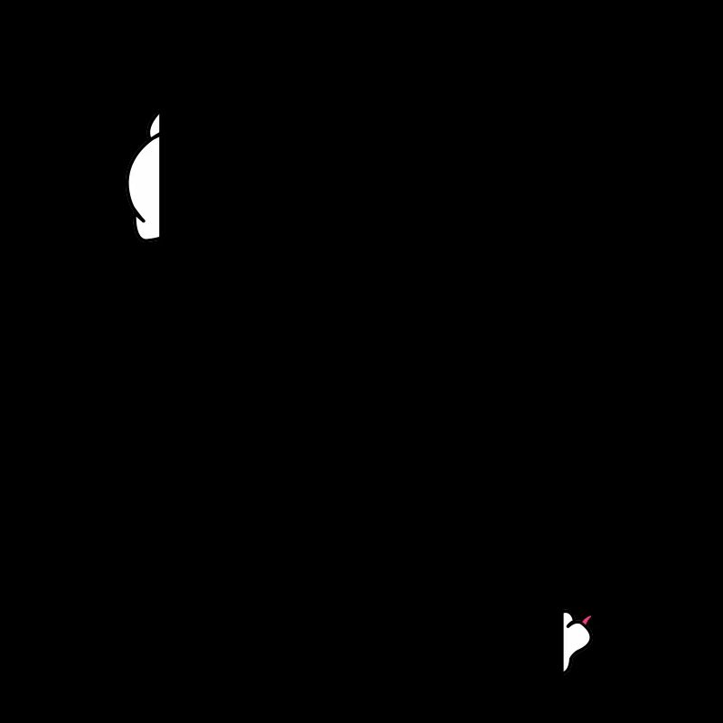 panthère 02