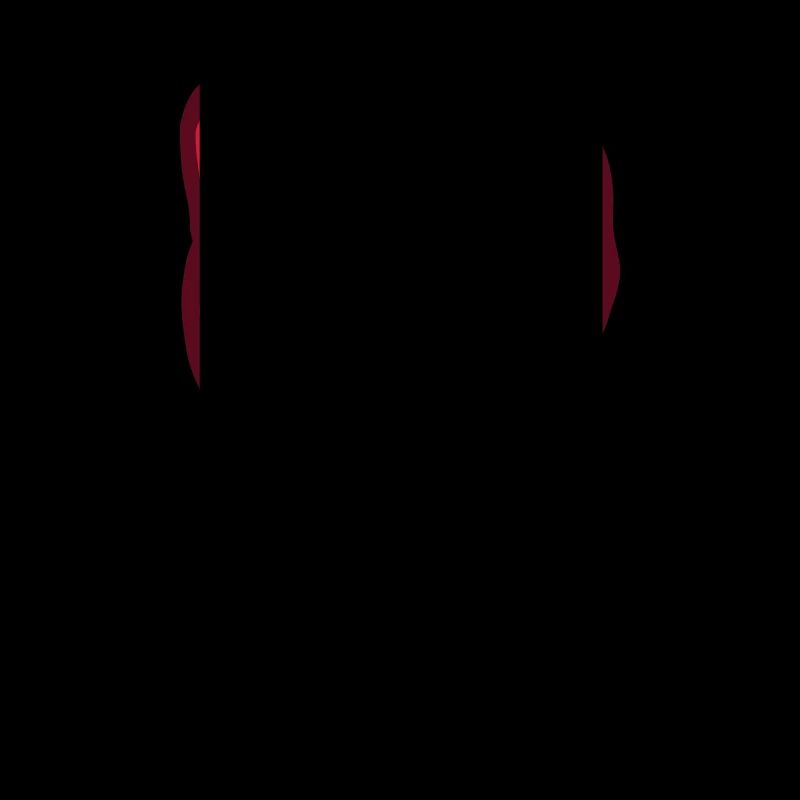 Rote Faust Rebellion