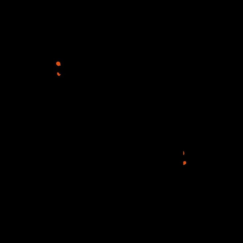 salamandre