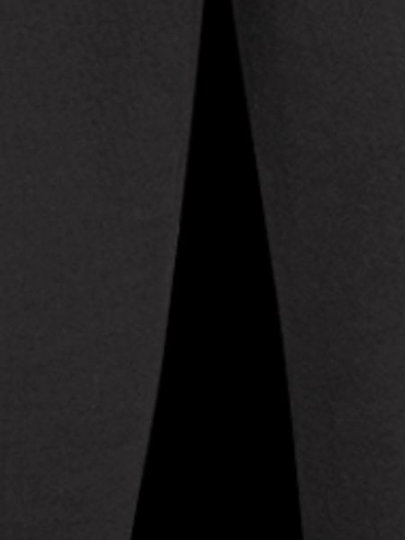 Giraffe 01