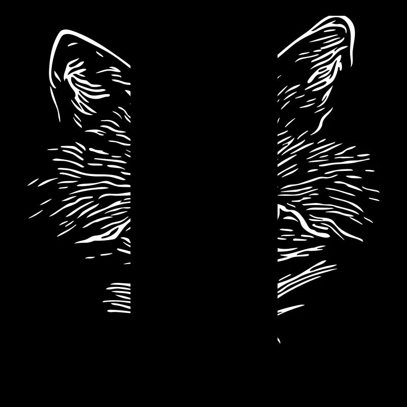Fox Face - Fox Face