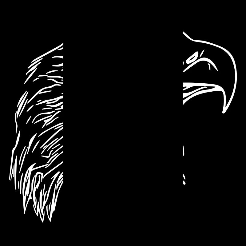 Tête d’aigle - Oiseau de prédant Royal Vector