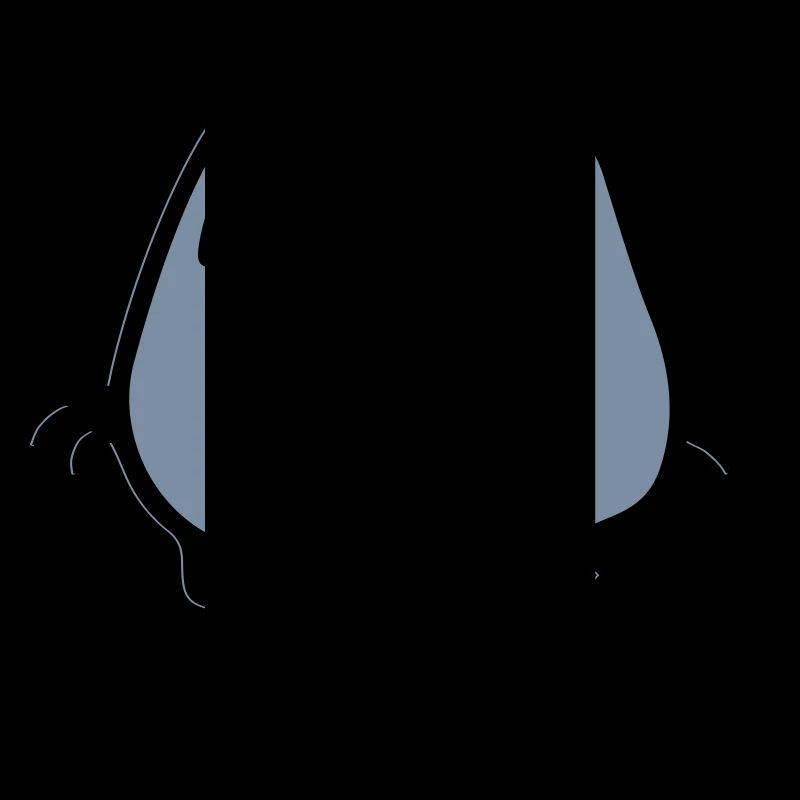 Bande dessinée Chat