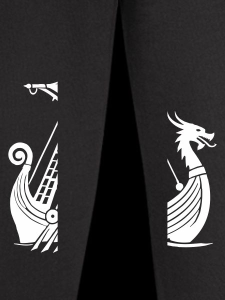 Viking Ship
