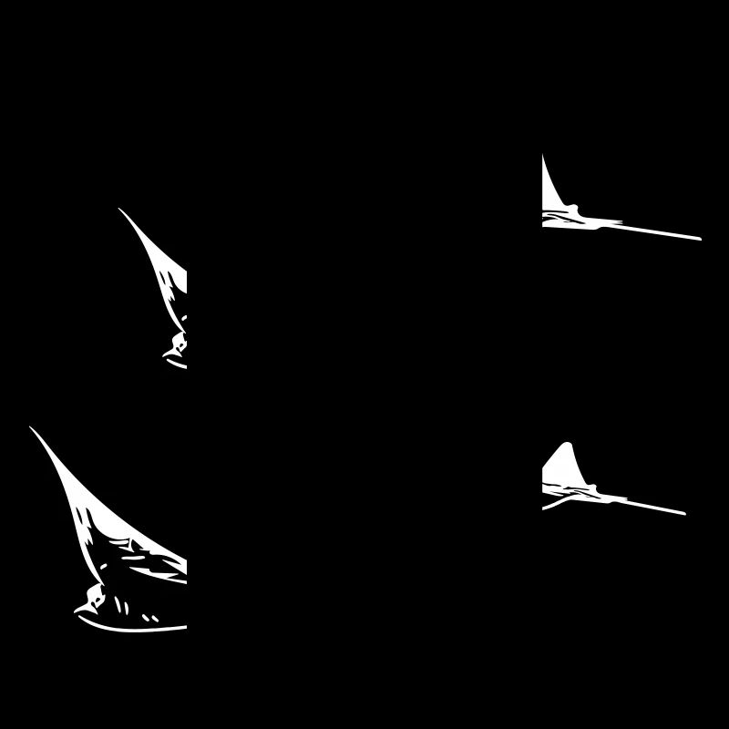 Formation de vol Eagle Ray