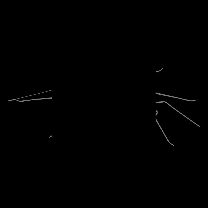Geißelspinne - Amblypygi