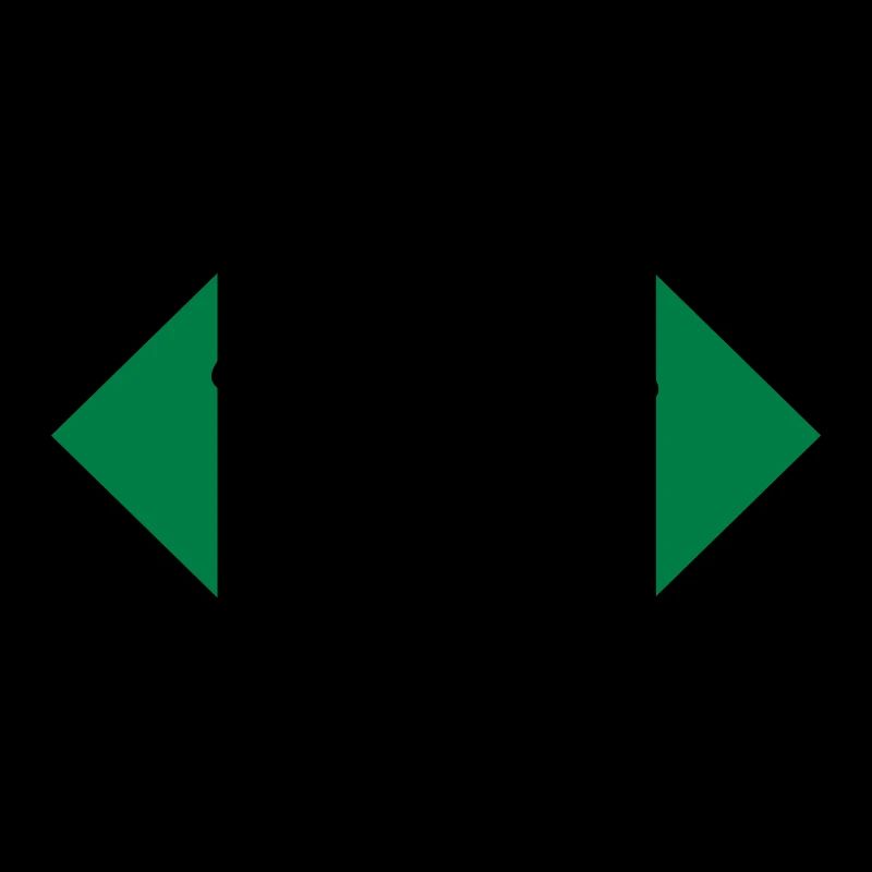 Schädel und Knochen
