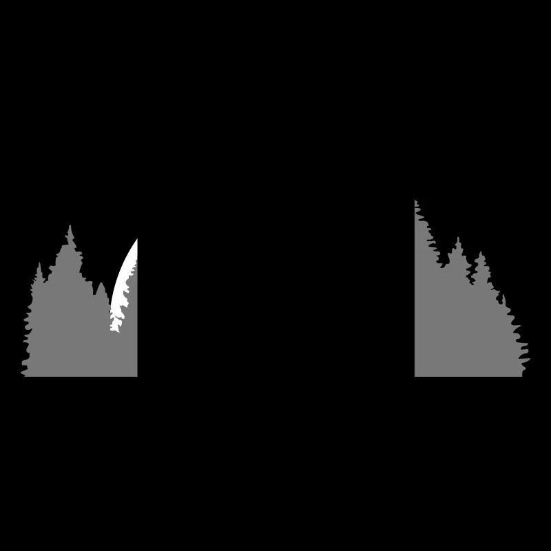 full moon moon night sunset baeume forest needle whale