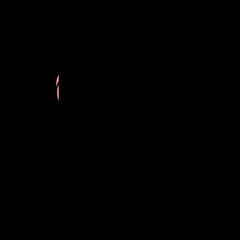 Noctambule 02