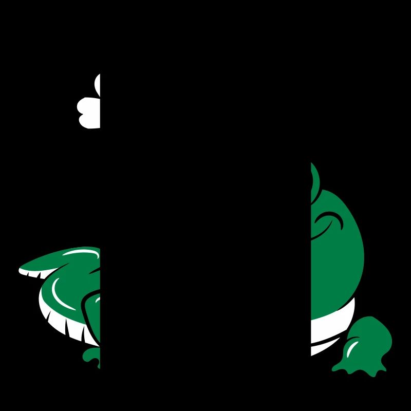 Krokodil Reptil Schmettering