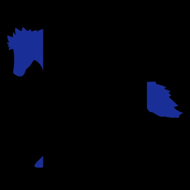 Pferd Mann Schnell Reiten Silhouette Reiter Junge