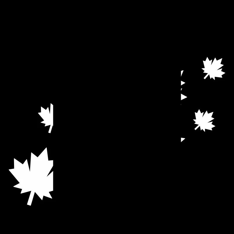 Feuilles d’érable