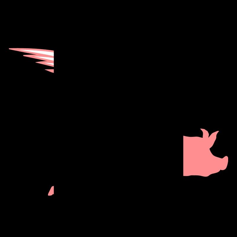 When Flying Wings Flying Pigs Can Fly