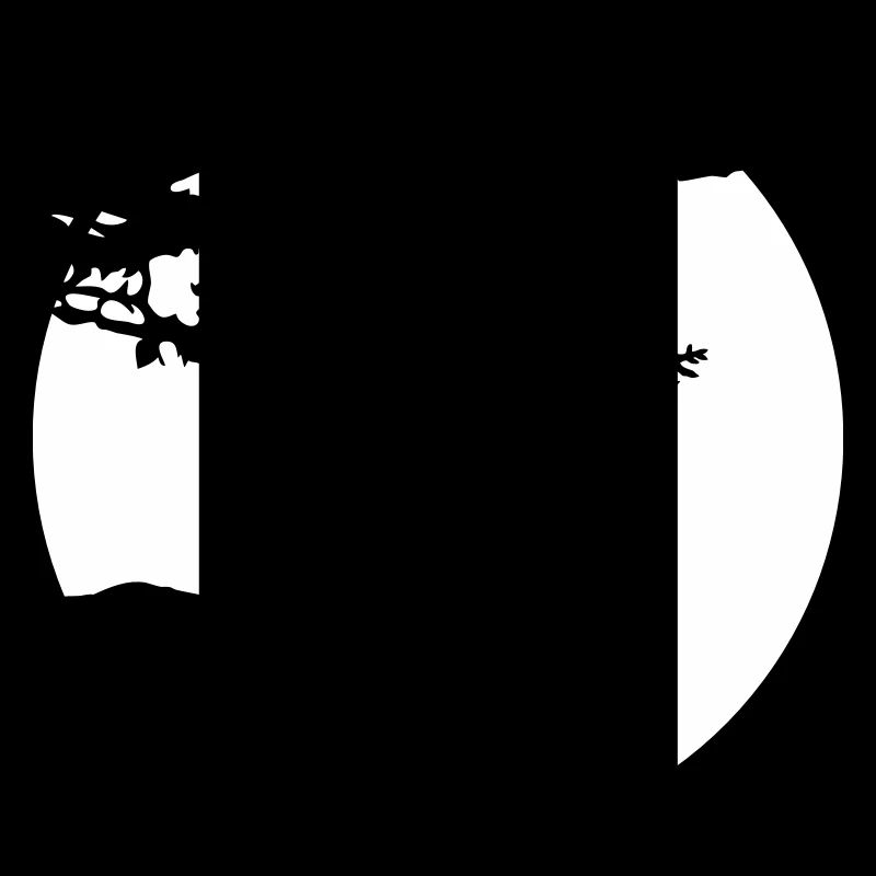 Baum Eule Vogel Mond Klippe Rund Nacht Silhouette