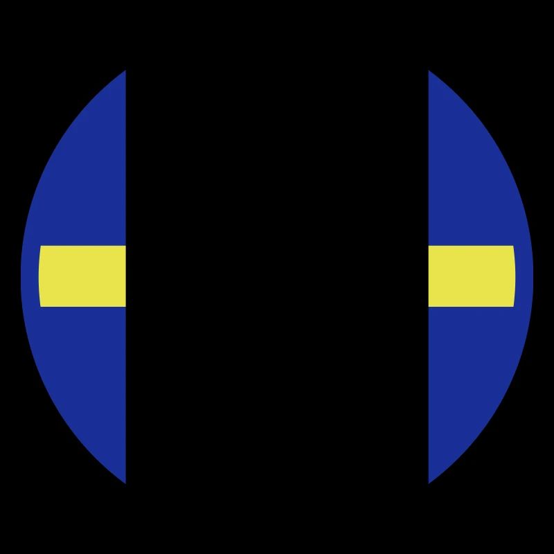 Sweden Flag Flag