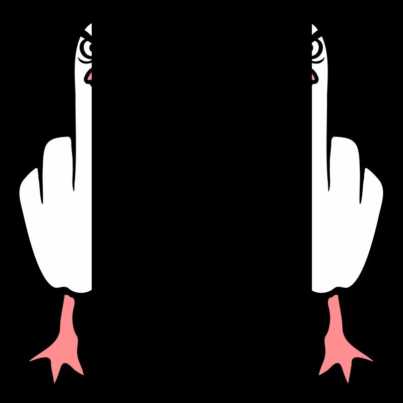 2 Möwen Mittelfinger Beleidigung Stinkefinger Team