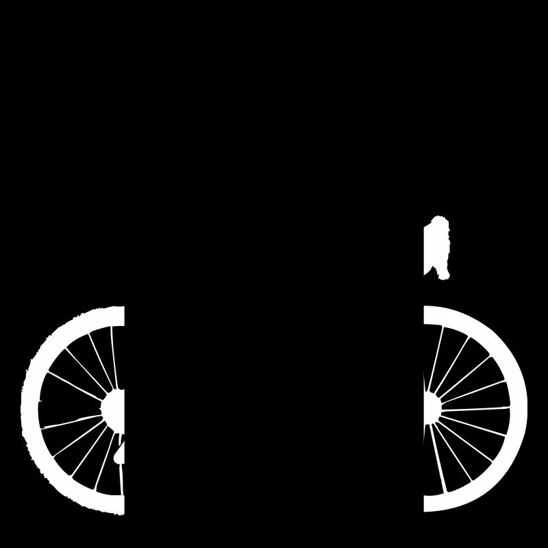 Raffahrar Bicycle
