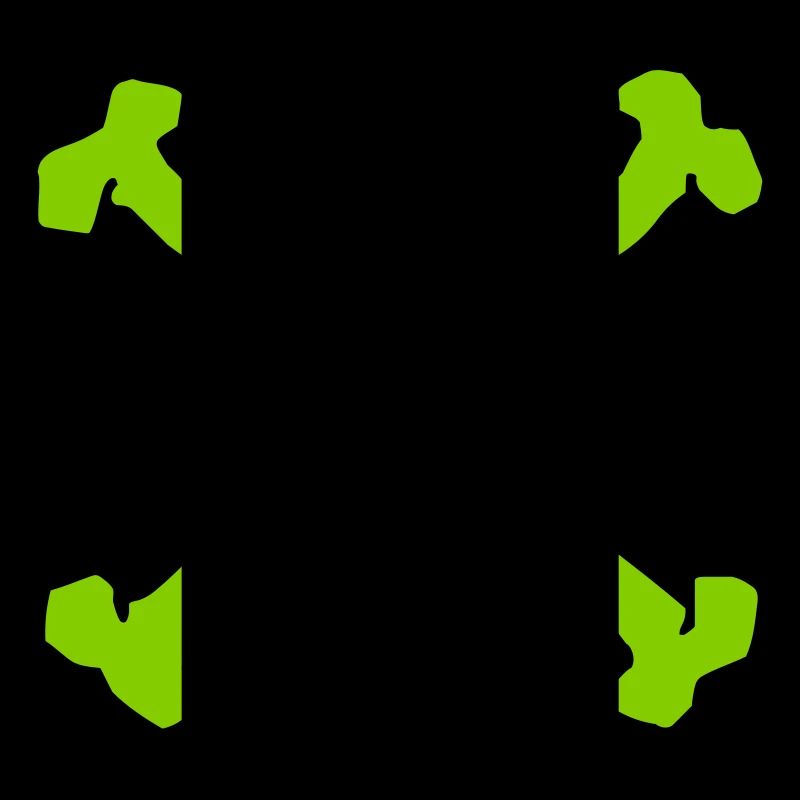 CRÂNE CROISÉ - 2C