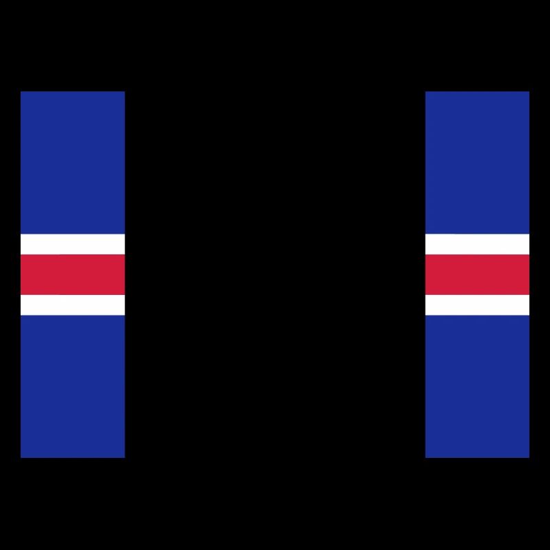 Iceland flag / Drapeau Islande