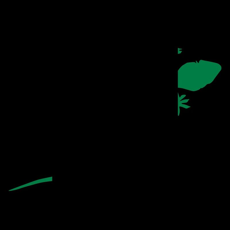 Gecko Echse