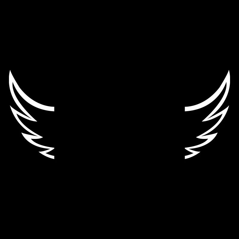 Ailes Cœur