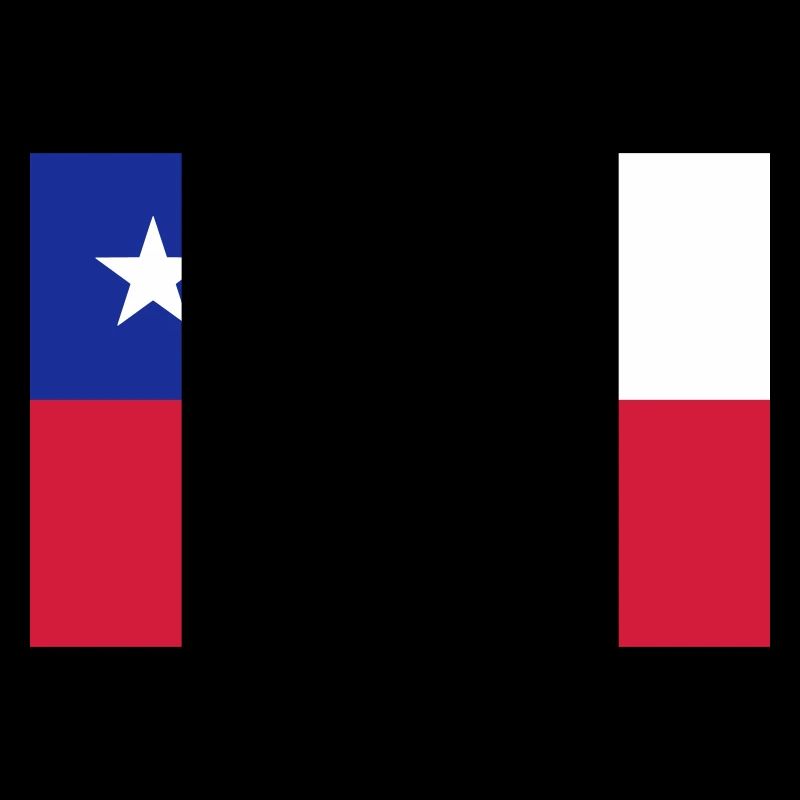 Chili flag / Drapeau Chili