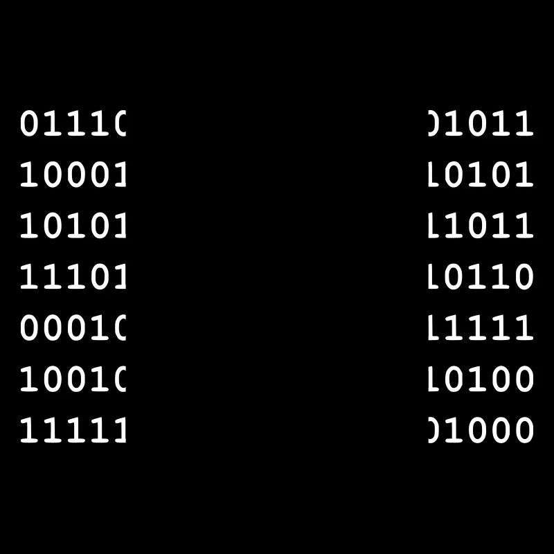 Piraté - pirate informatique - ballot - Noob - Matrix