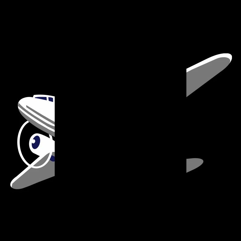 Propellerflugzeug