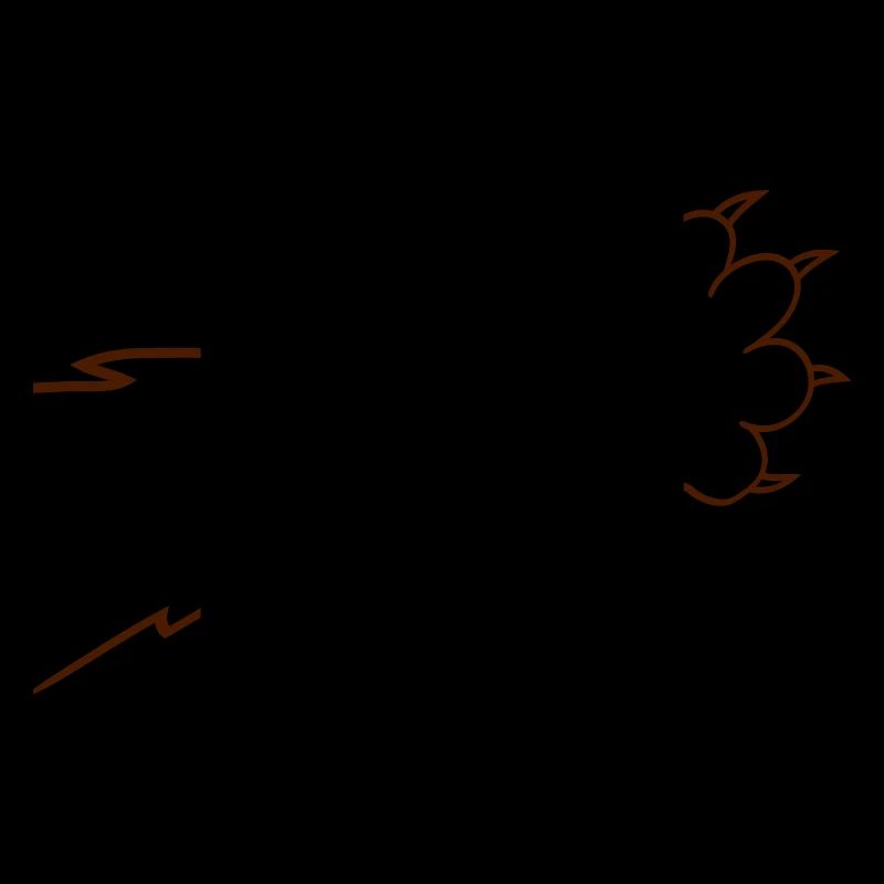 Cats, claws, paws, paws, sharp claws, scratching