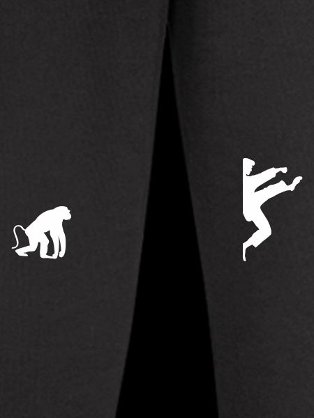 Karate Evolution
