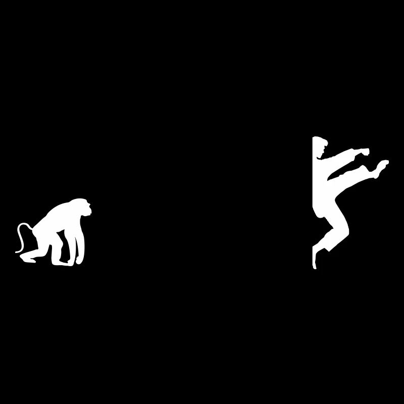 karate evolution