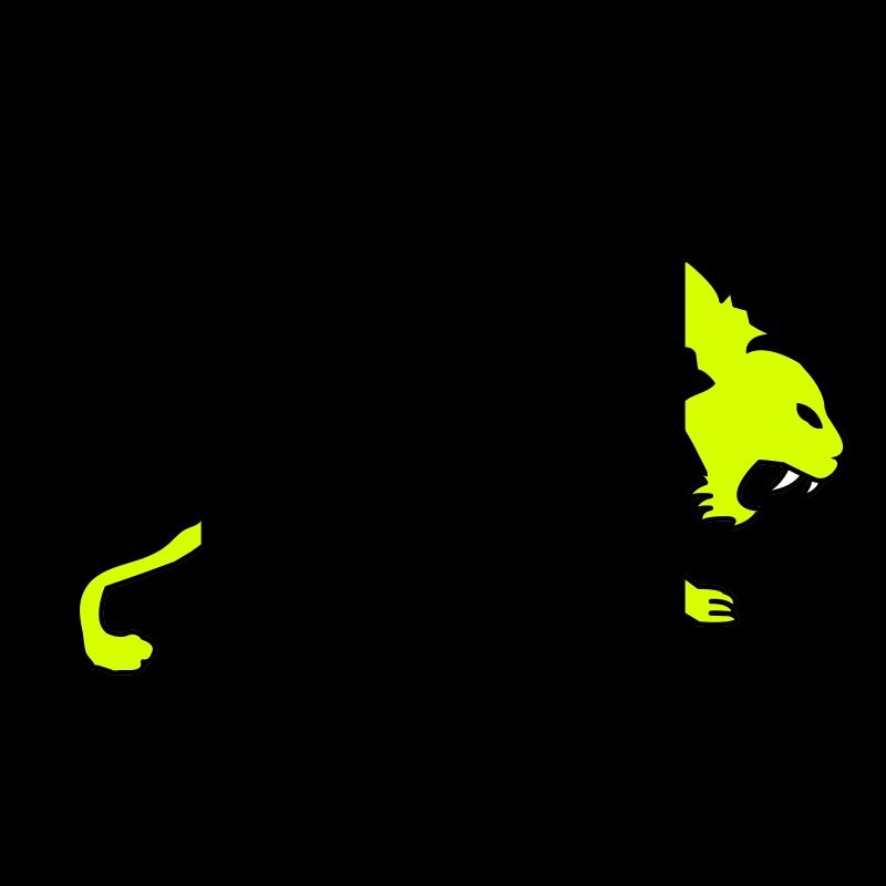 tiger 02