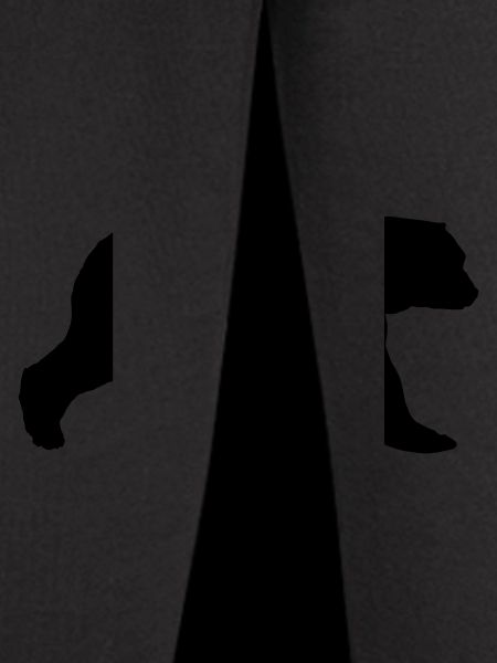 Bear Silhouette