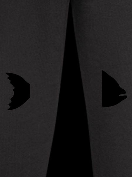 Silhouette Sea Fish