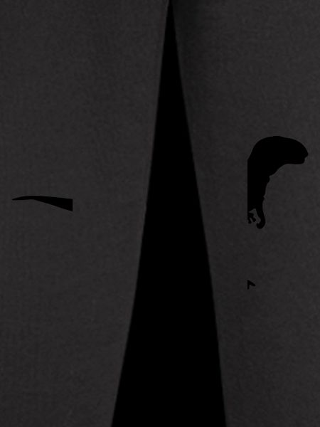 dinosaur