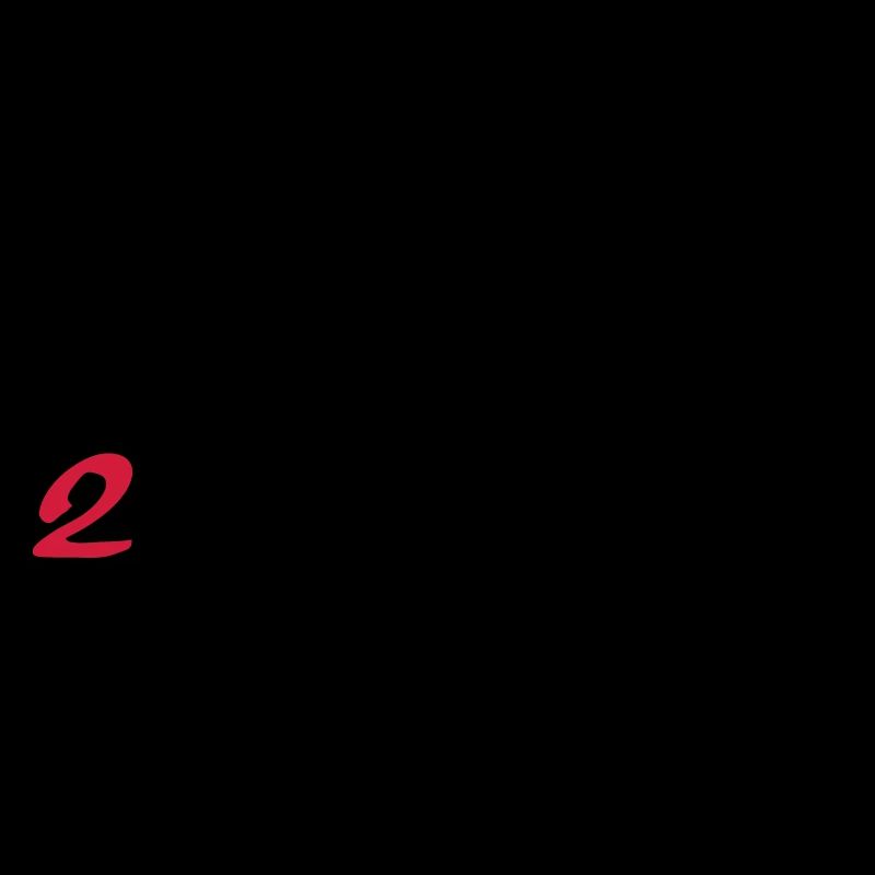2 Fast 4 You