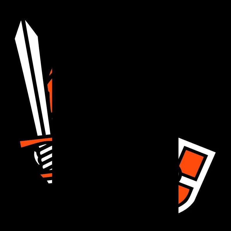 Duck Knight Armor Sword Shield Helmet Fighter