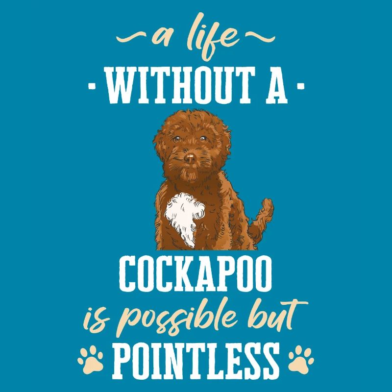 Cockapoo Chien
