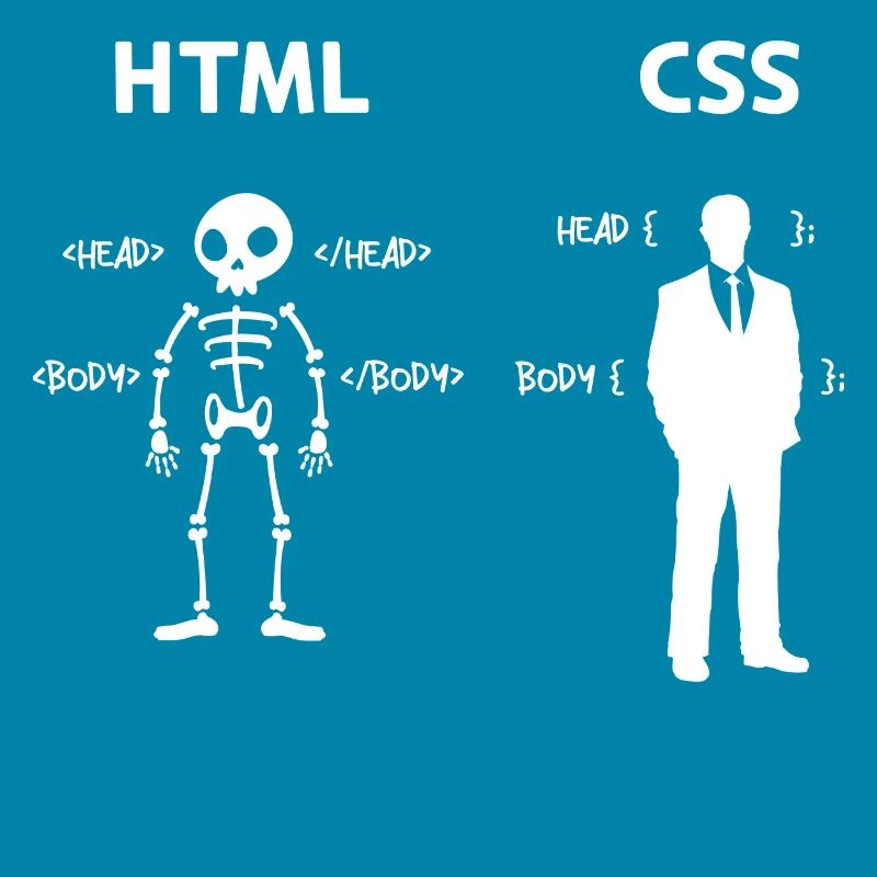 Code Css C++ Php Java Développeur Code Scripting