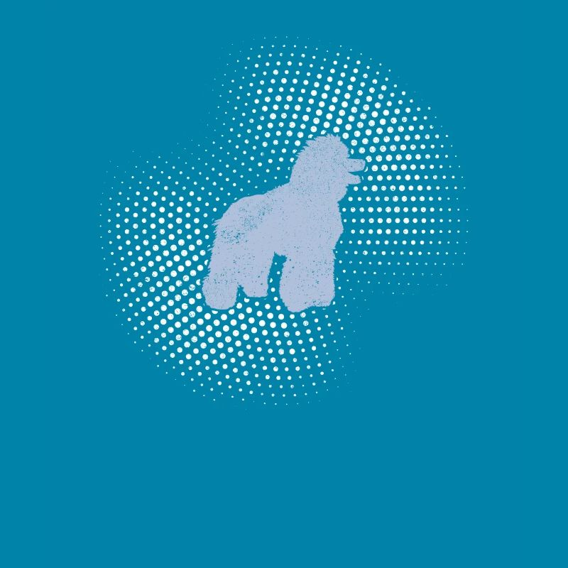 Caniche