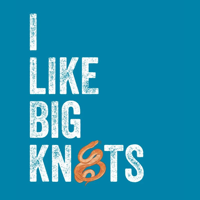 Königspython Ball Python