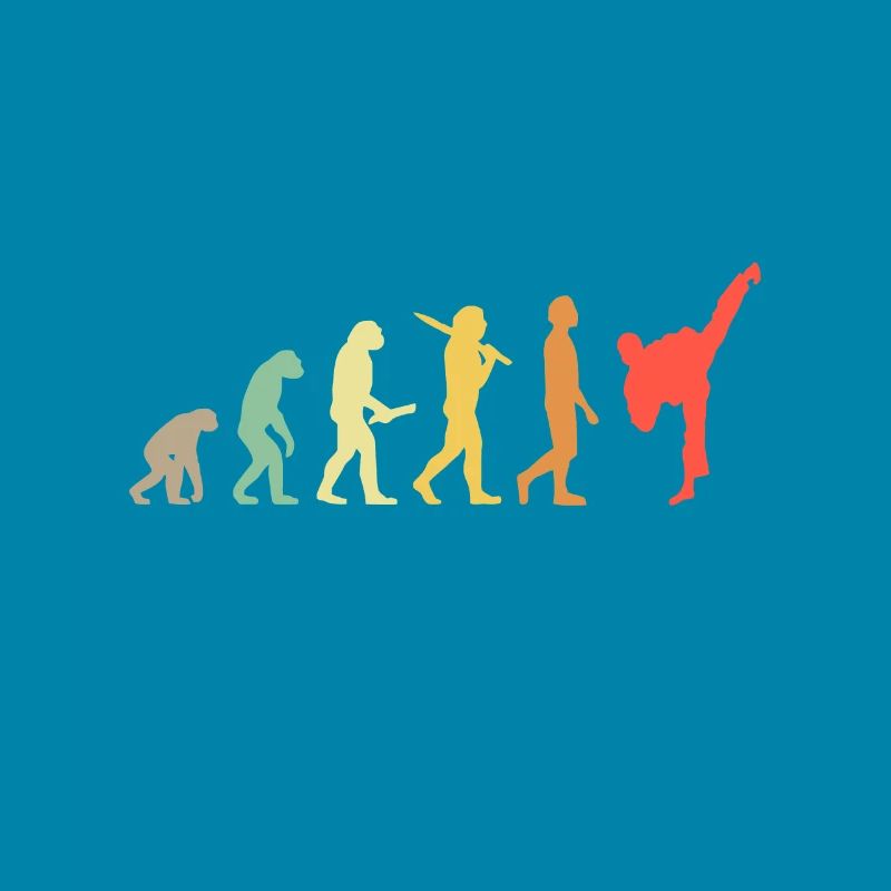 Retro Karate Evolution Gift For Karateka