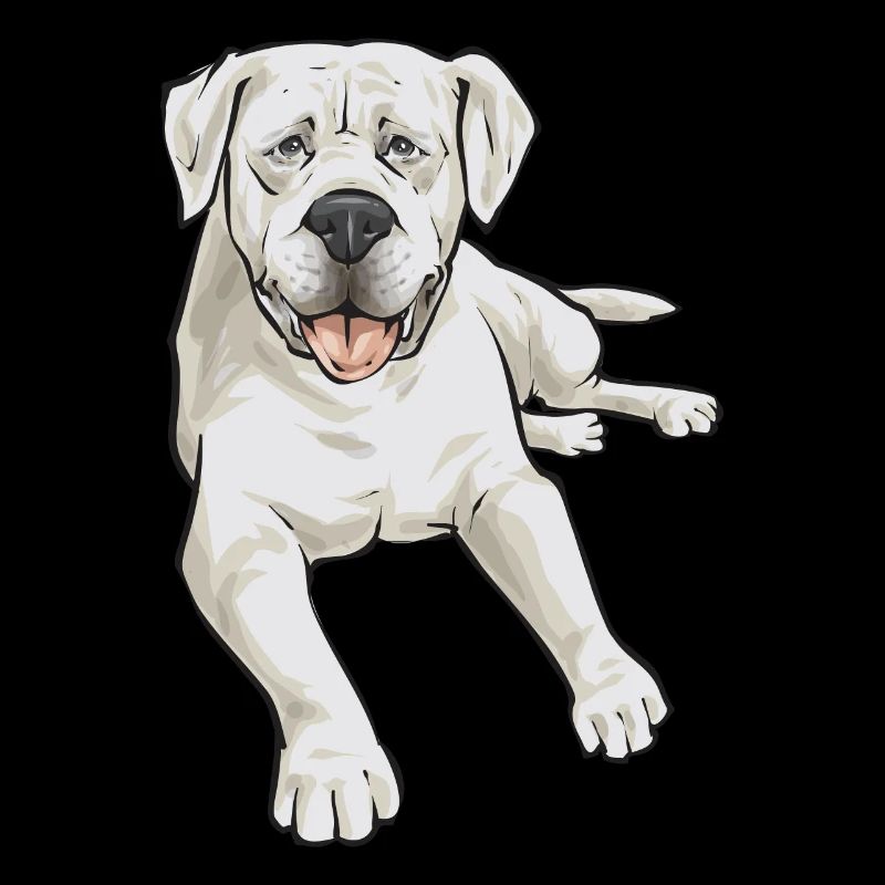 Labrador Retriever blanc Labrador Labrador blanc