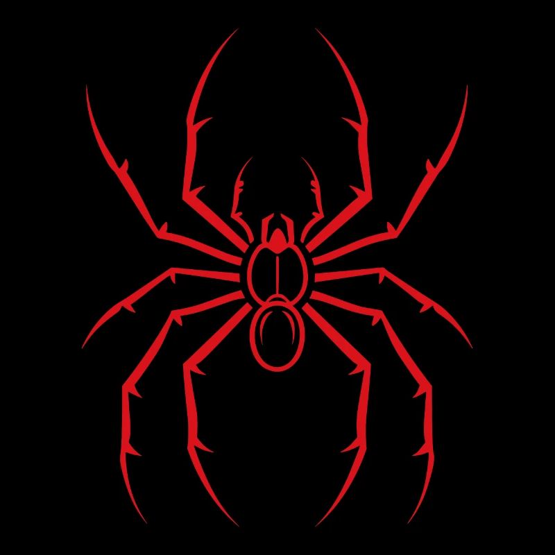 Spinne