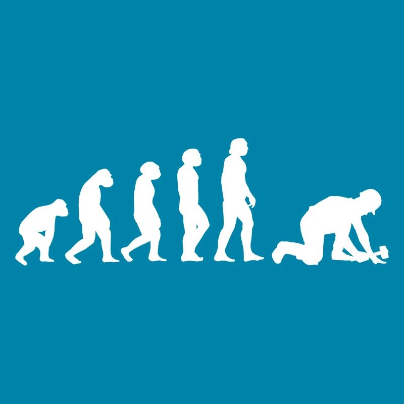 Evolution Pflasterer