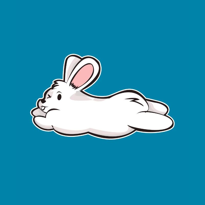 Cadeau BD de lapin lapin lapin blanc