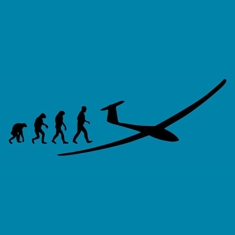 segelflugzeug evolution