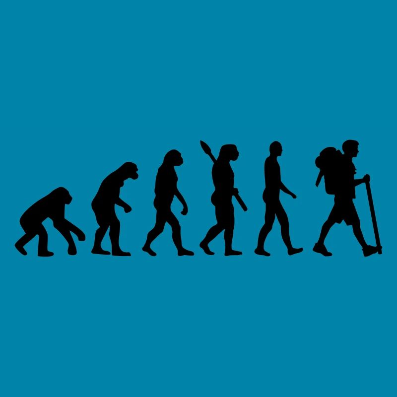 Évolution Cheminement