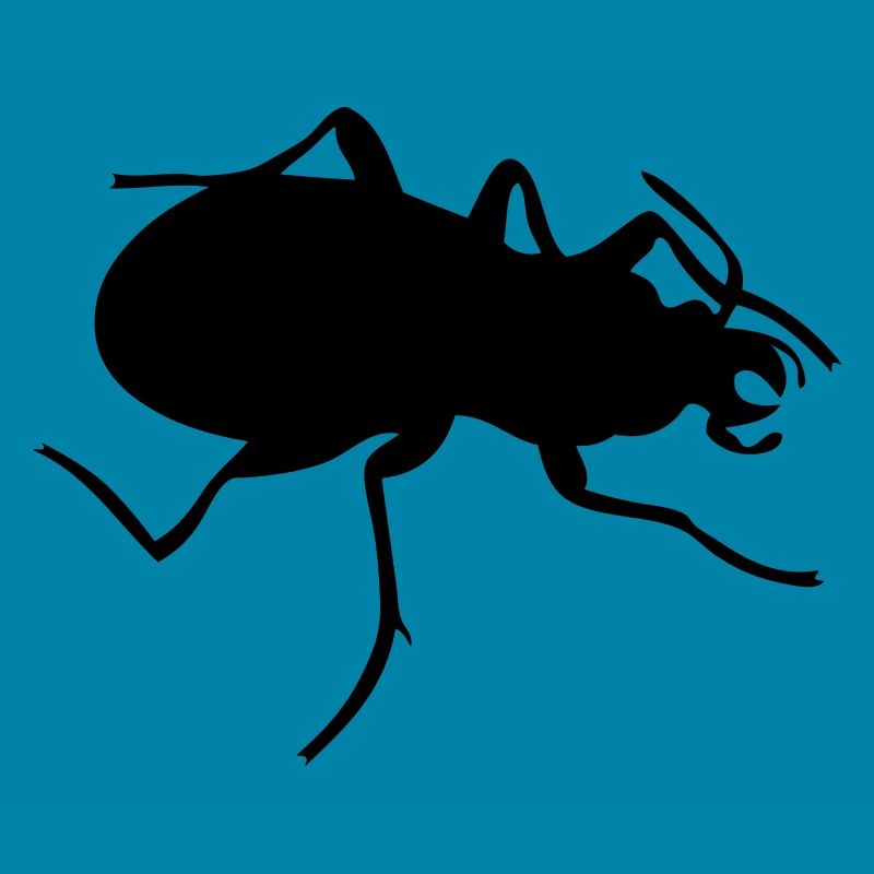 Beetle